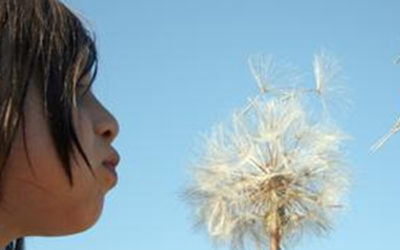 Witamy serdecznie na naszej nowej stronie www